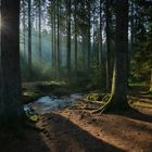 Bachlauf beim Sonnenaufgang