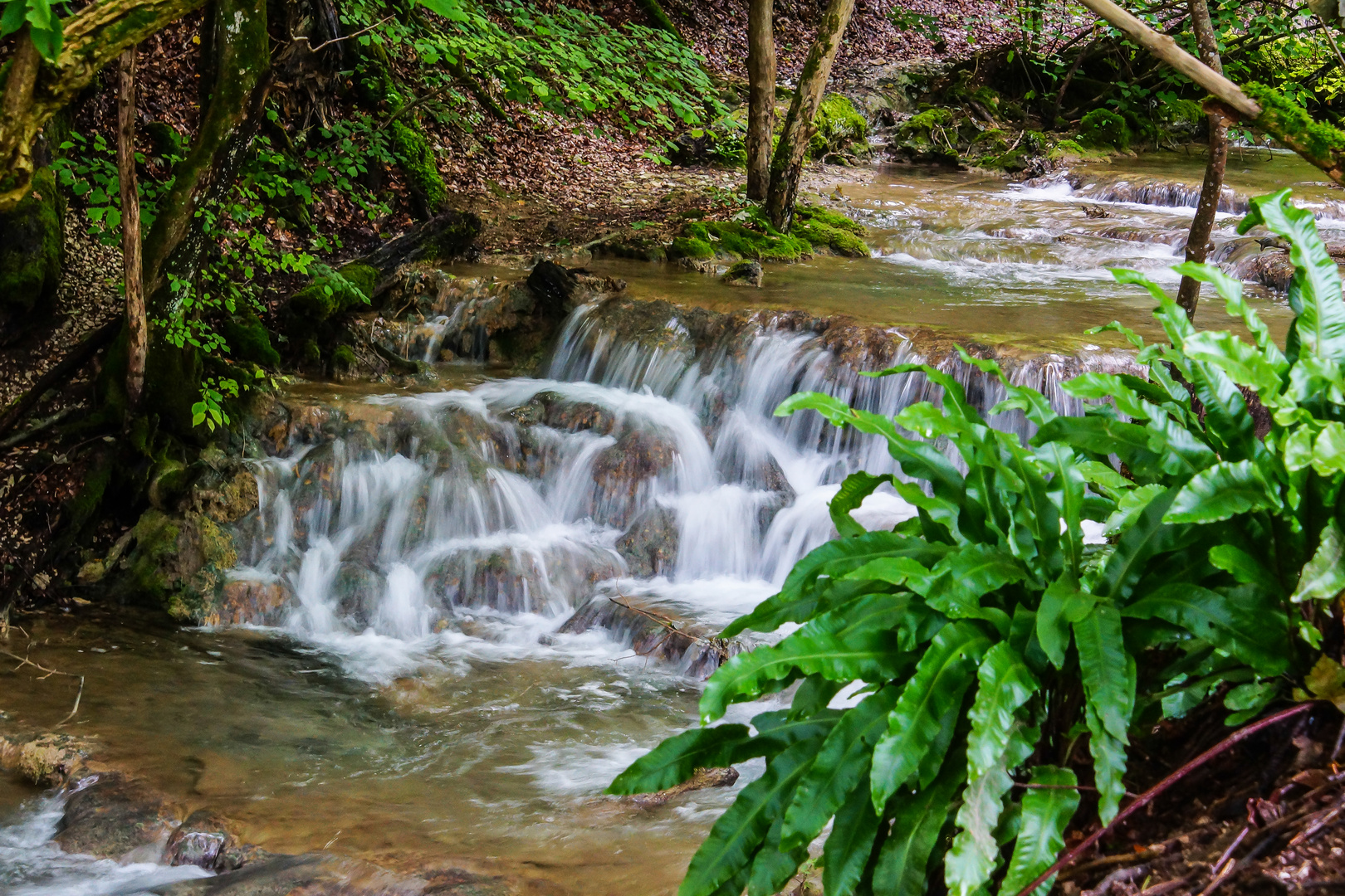 Bachlauf beim Uracher Wasserfall 