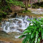 Bachlauf beim Uracher Wasserfall 