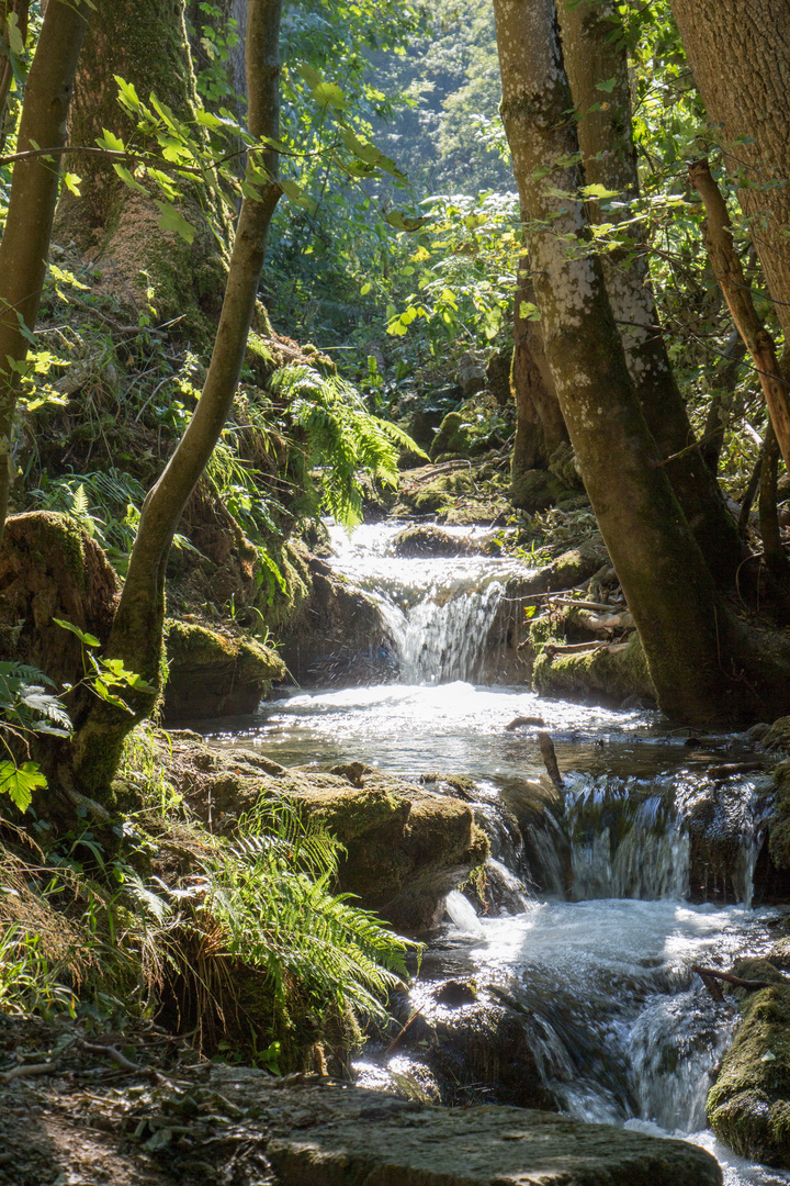 Bachlauf beim Wasserfallsteig