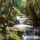 Bachlauf beim Wasserfallsteig