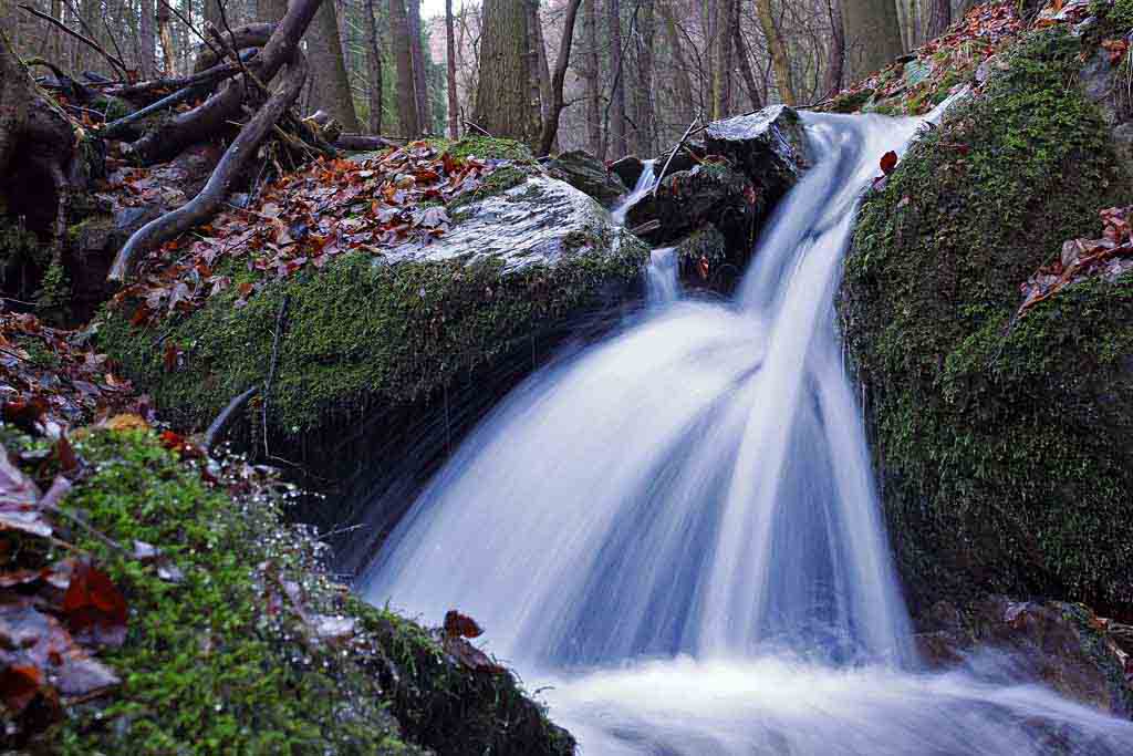 Bachlauf