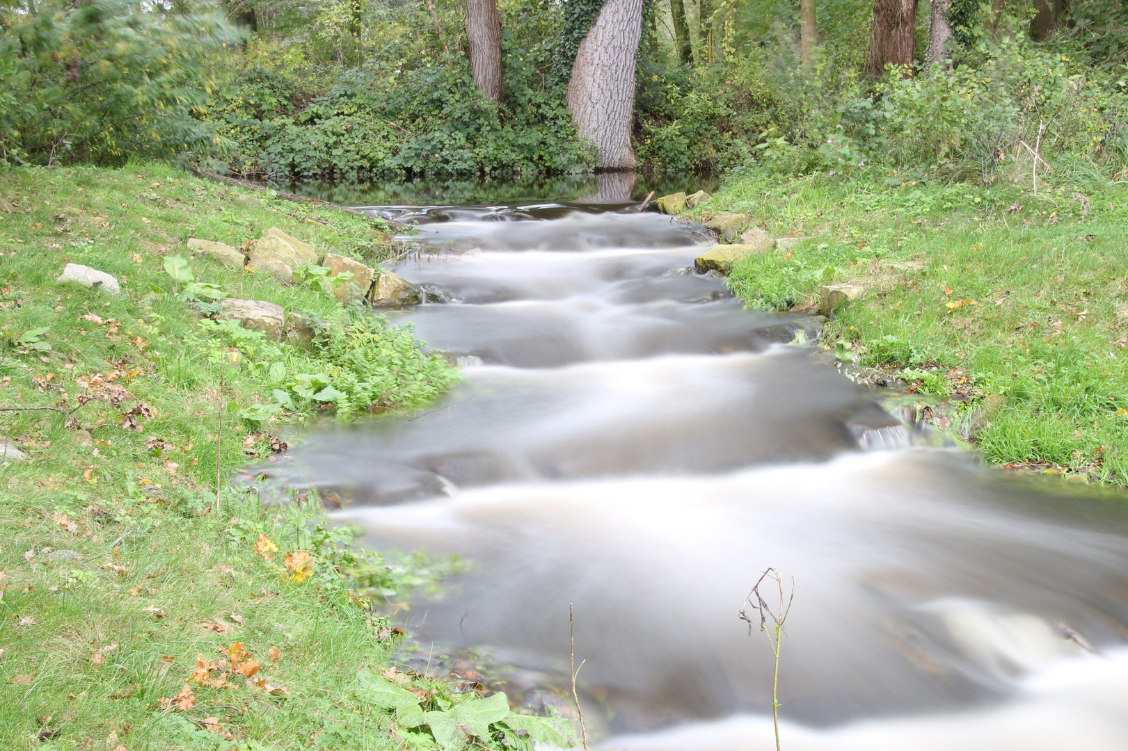 Bachlauf