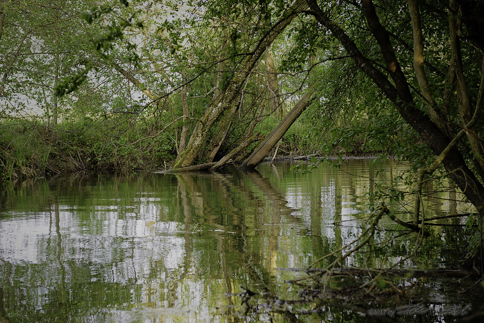 Bachlauf