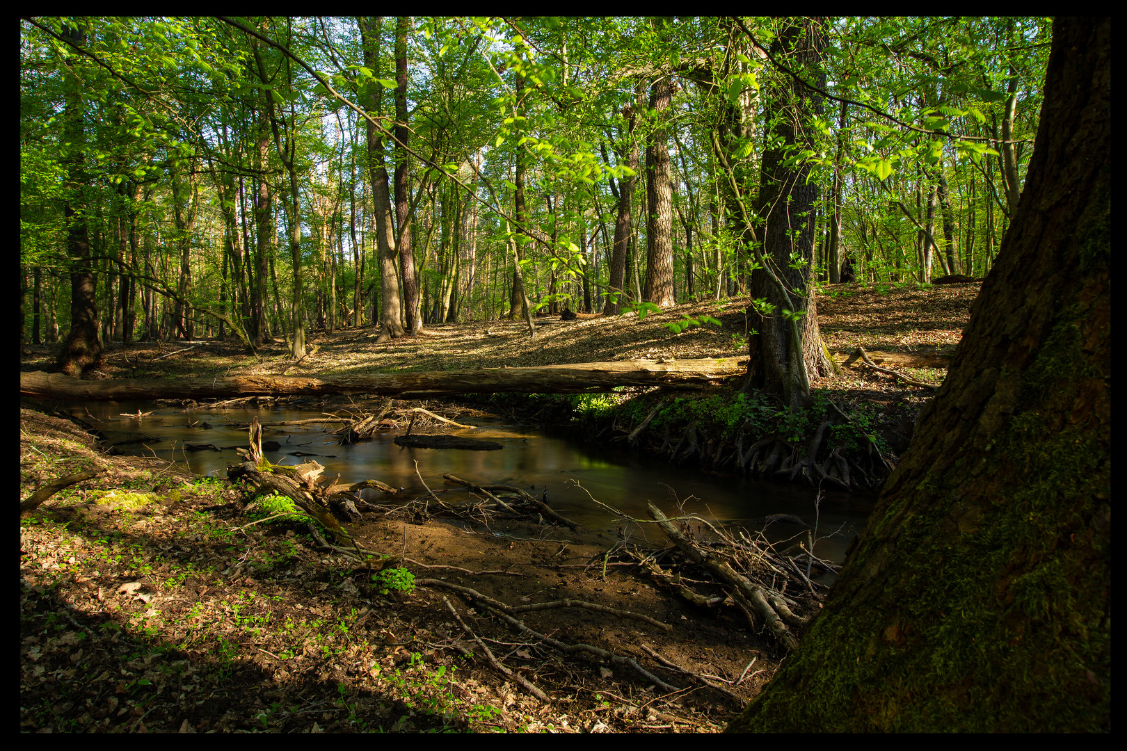 Bachlauf der Nuthe, Langzeitaufnahme