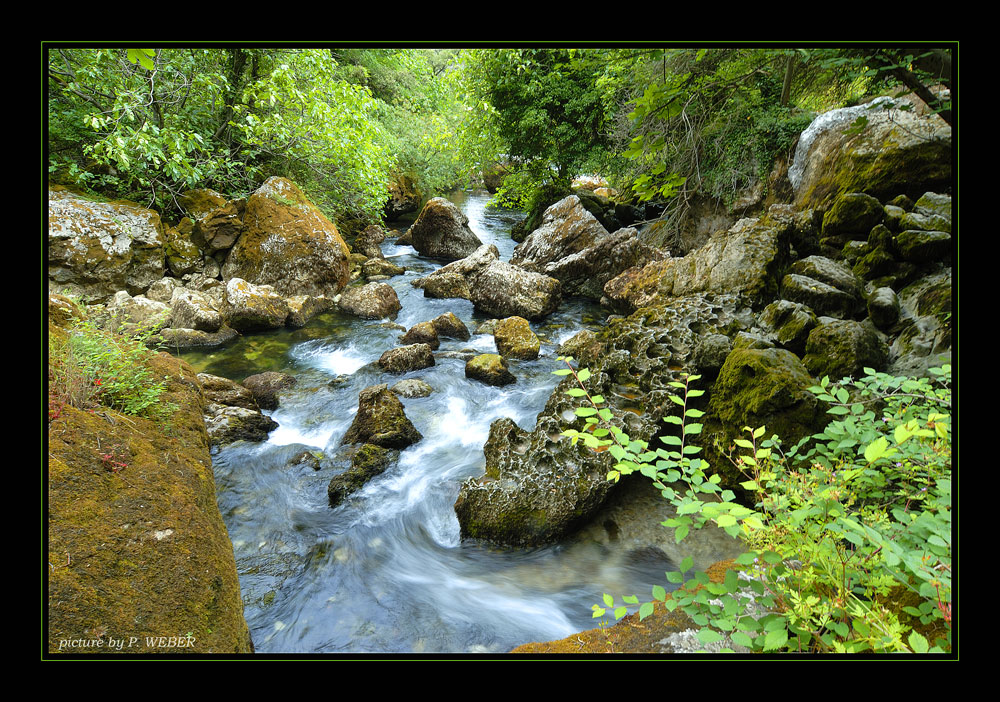 Bachlauf der Sorgue