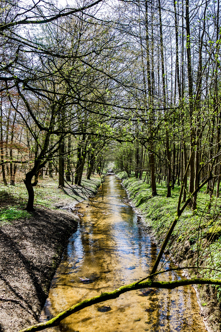 Bachlauf