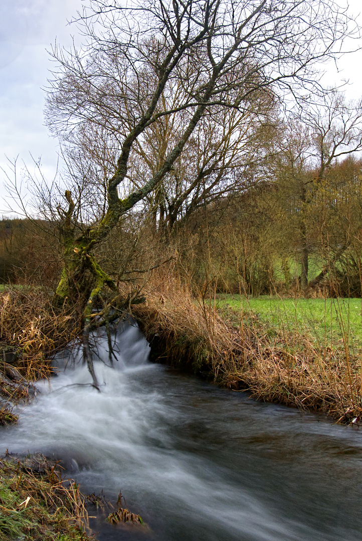 Bachlauf