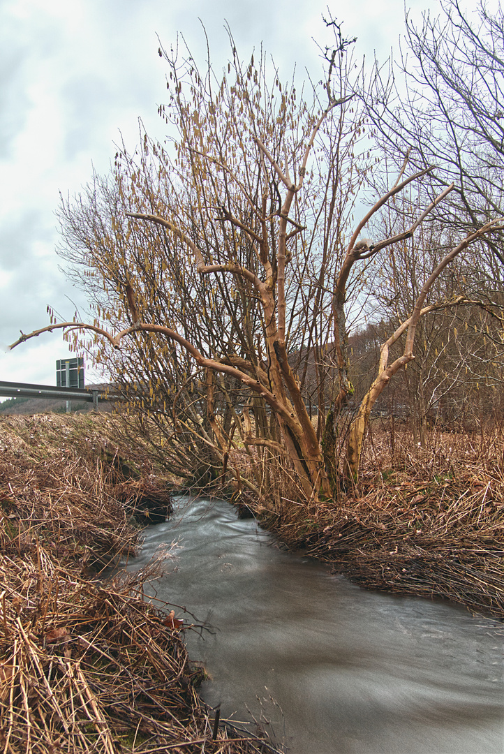 Bachlauf