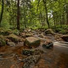 "Bachlauf Eifel/Roetgen"