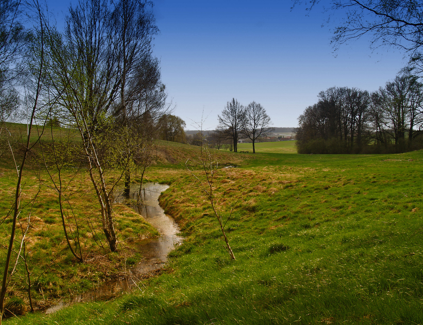 bachlauf