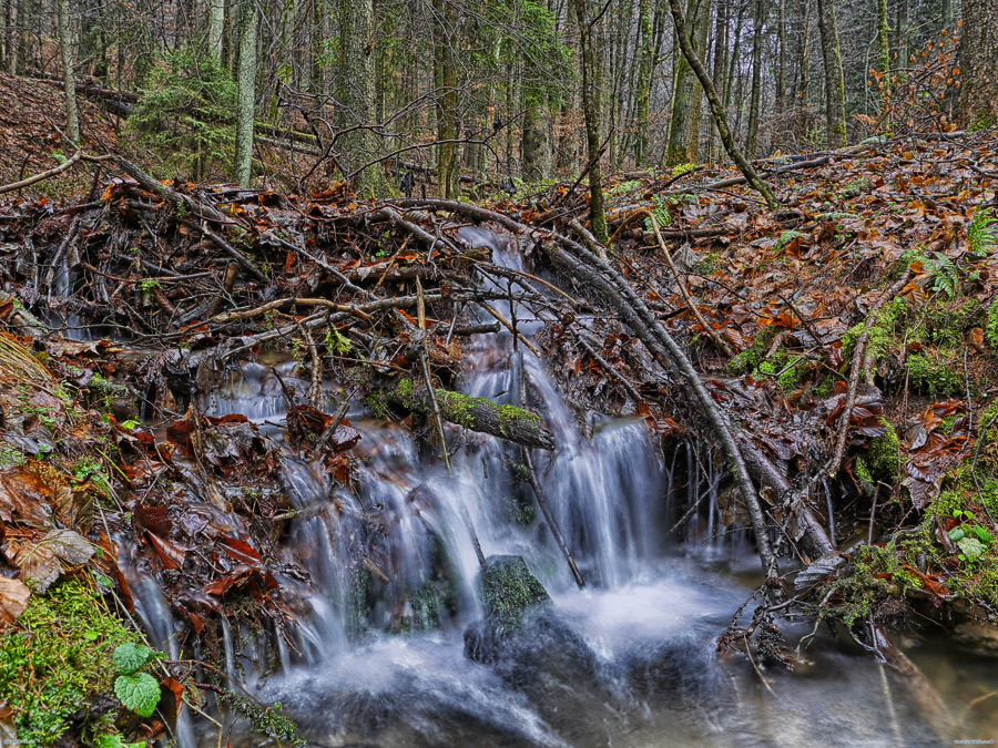 Bachlauf