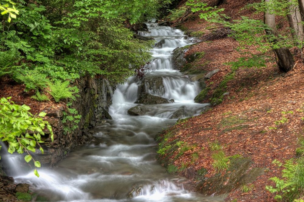 Bachlauf