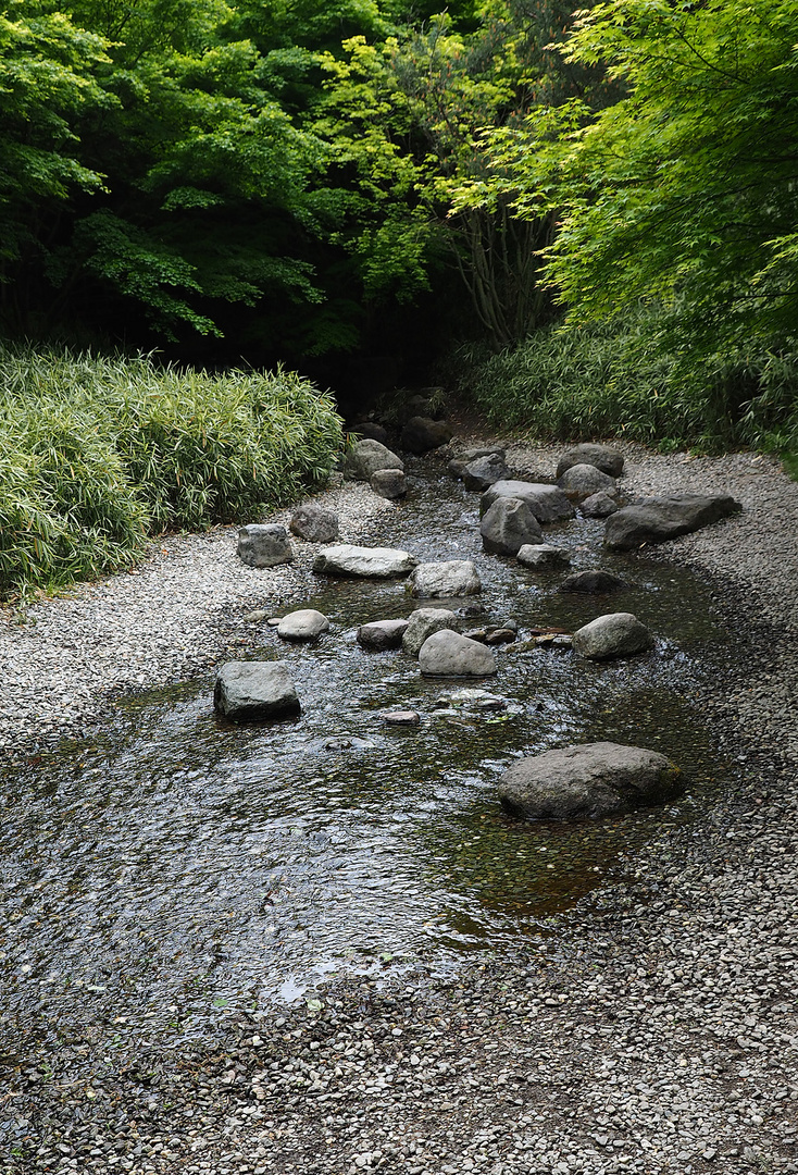 Bachlauf