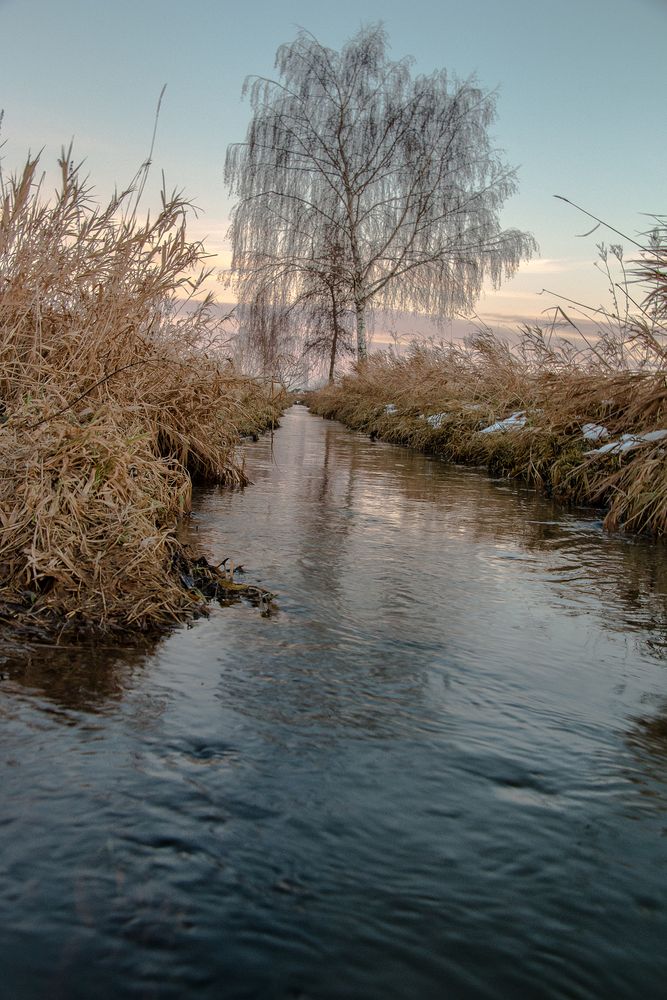 Bachlauf