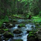 Bachlauf, gespeist durch das Meeresauge (Morskie Oko,Zakopane,Polen)