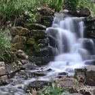 Bachlauf Grugapark Essen