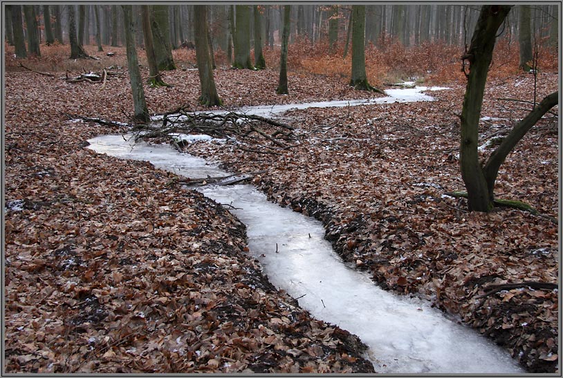 Bachlauf Hammelstall