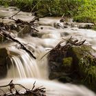 Bachlauf im Amseltal