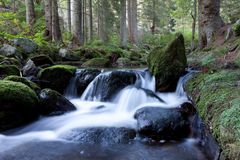 Bachlauf im Bayerischen Wald