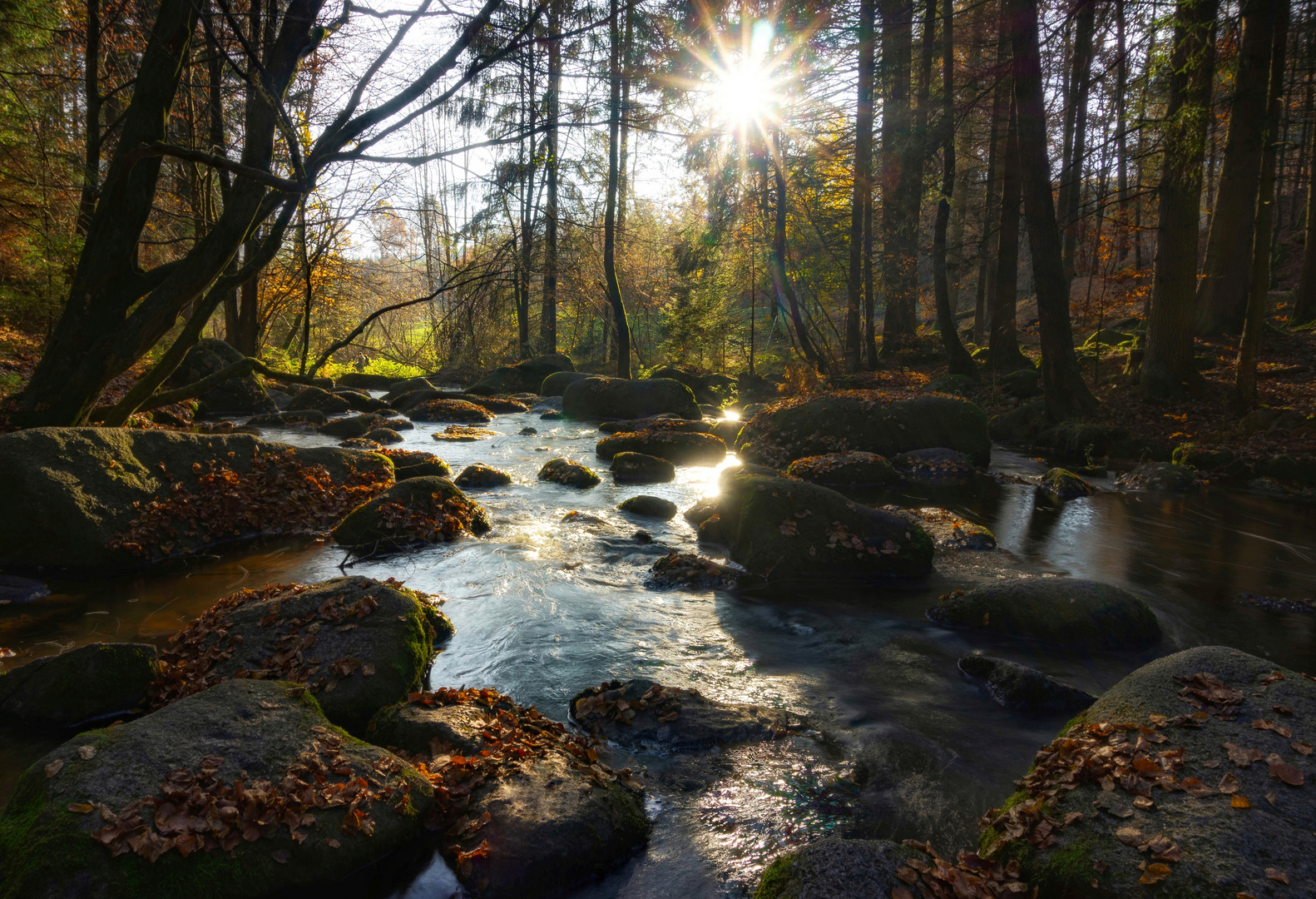 Bachlauf im Bayrischen Wald 