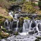 Bachlauf im Bergpark