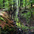 Bachlauf im Berkgpark Kassel