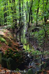 Bachlauf im Berkgpark Kassel