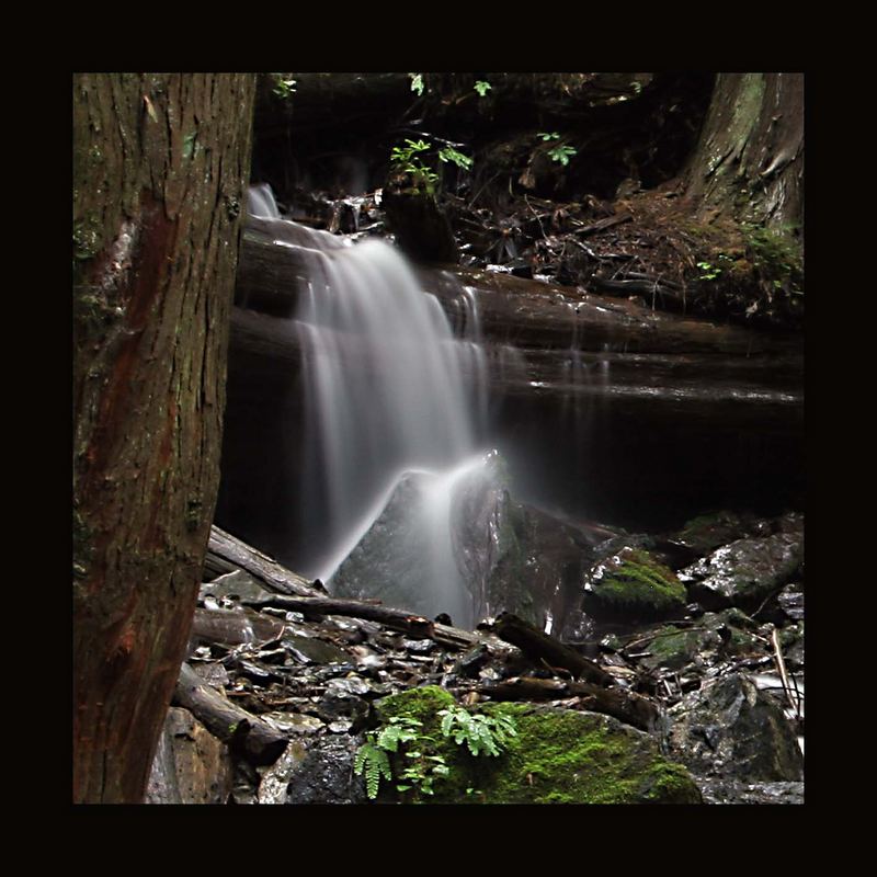 Bachlauf im Bridal Falls Provincial Park