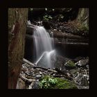 Bachlauf im Bridal Falls Provincial Park