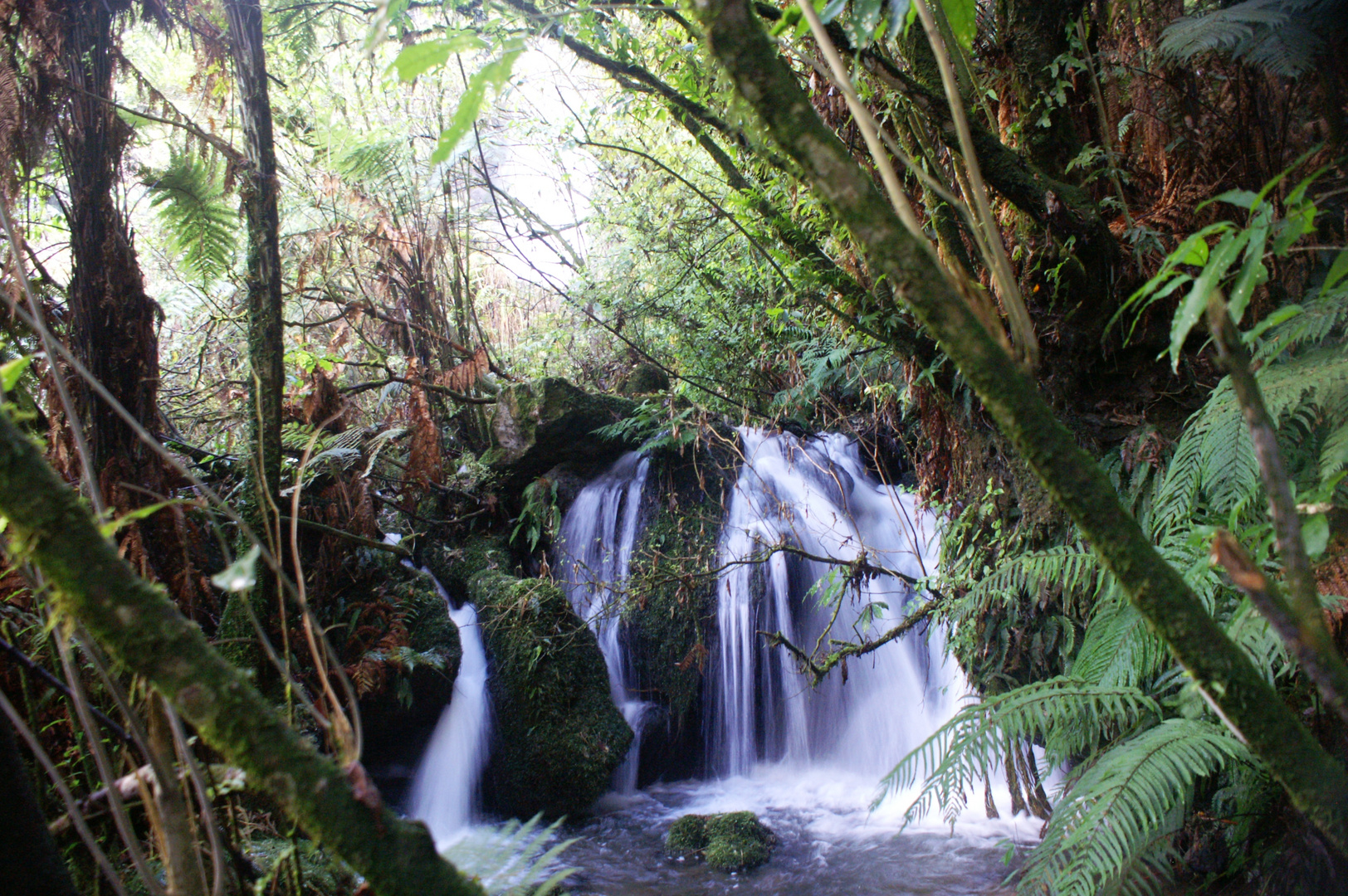 Bachlauf im "Buried Village"