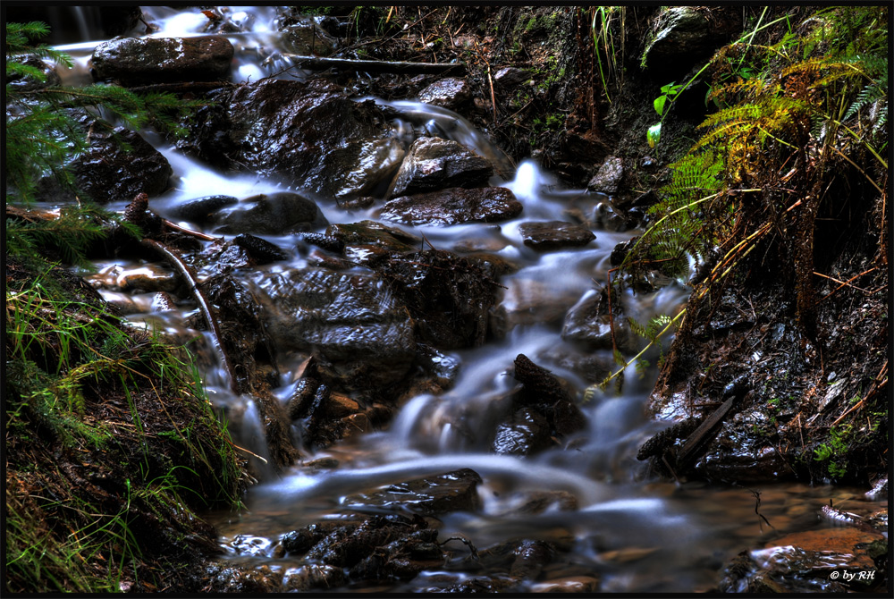 Bachlauf im Erzgebirge