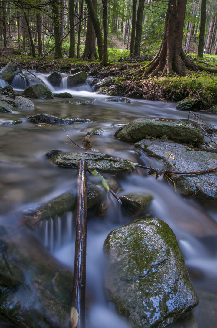 Bachlauf im Erzgebirge