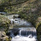 Bachlauf im Frühlingsanfang