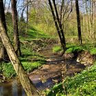 Bachlauf im Grünfelderpark