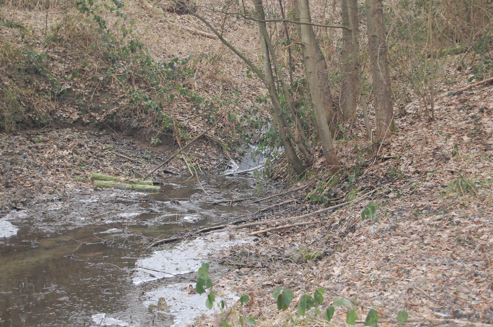 bachlauf im halbeis