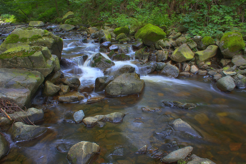 Bachlauf im Harz