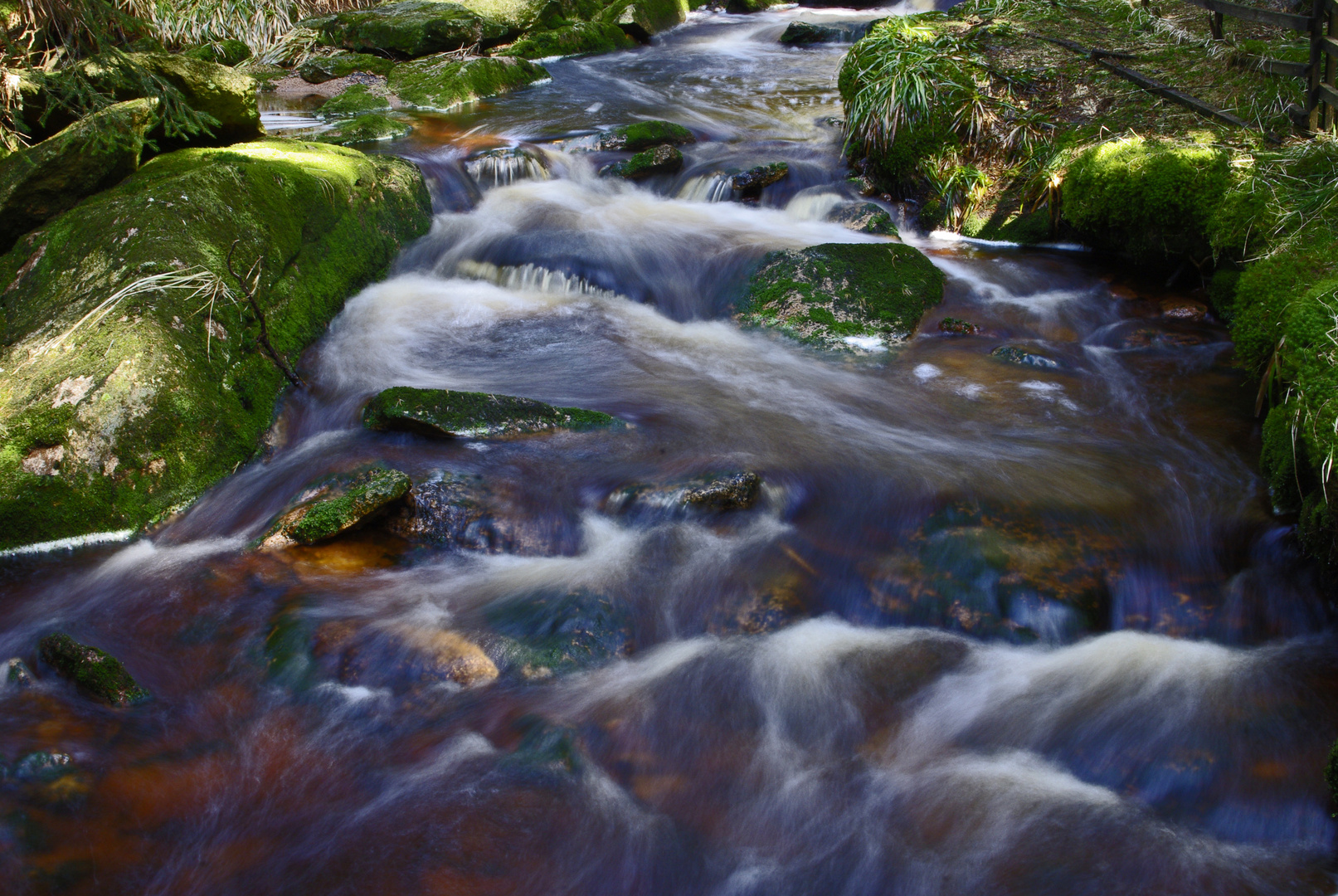 Bachlauf im Harz