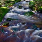 Bachlauf im Harz