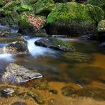 Bachlauf im Herbst