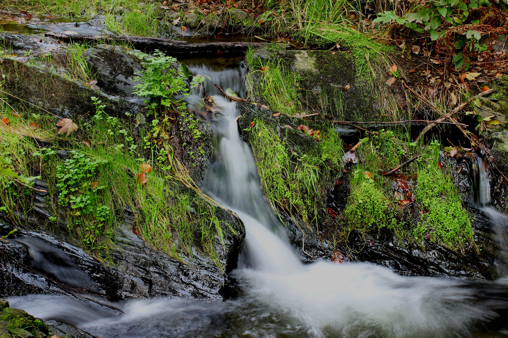 Bachlauf im Herbst