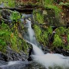 Bachlauf im Herbst