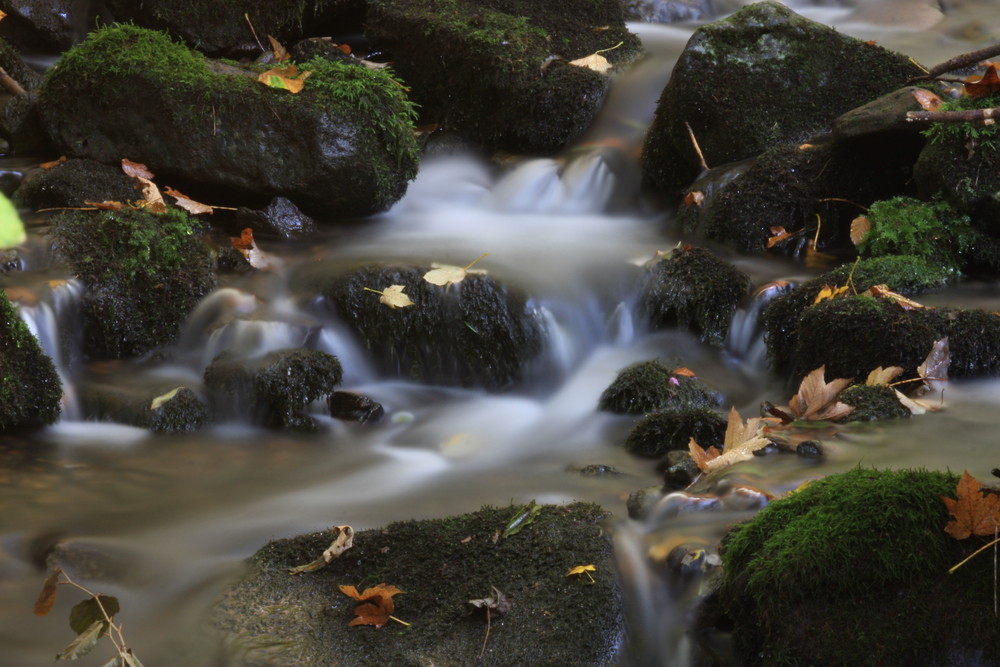 Bachlauf im Herbst