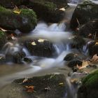 Bachlauf im Herbst