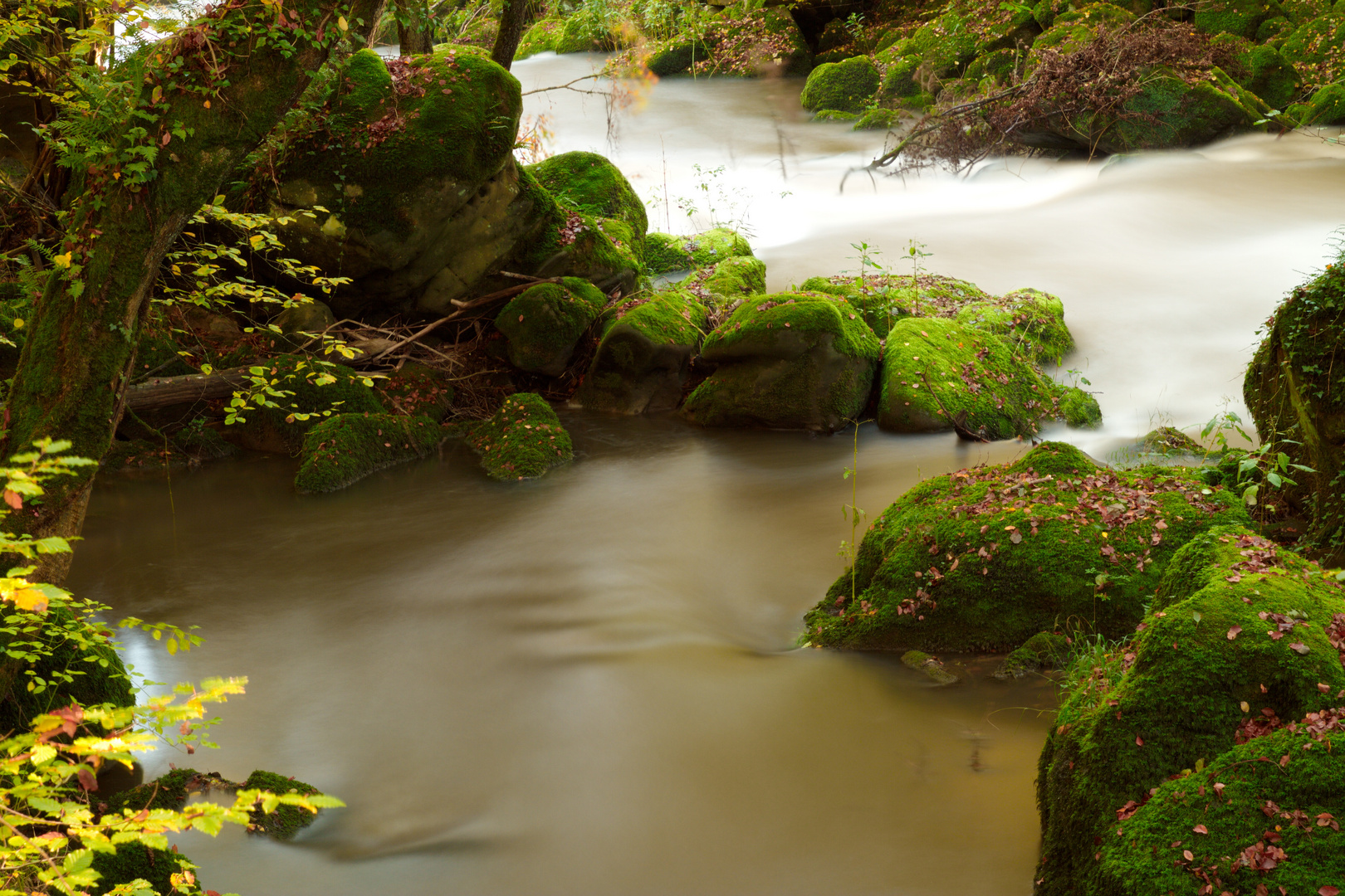 Bachlauf im Herbst