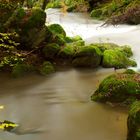 Bachlauf im Herbst