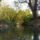 Bachlauf im Herbst