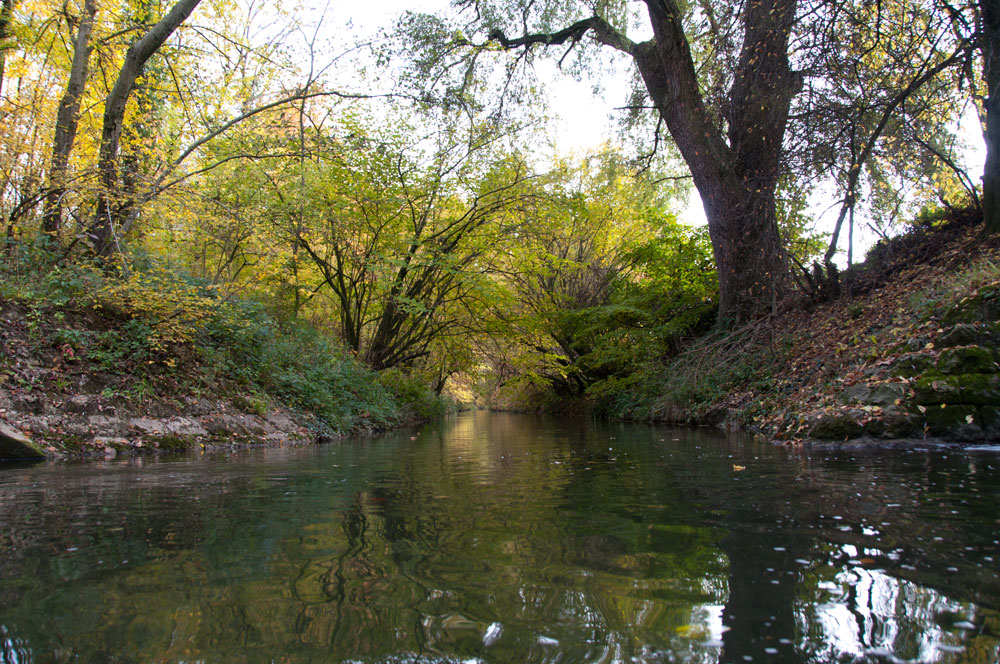 Bachlauf im Herbst