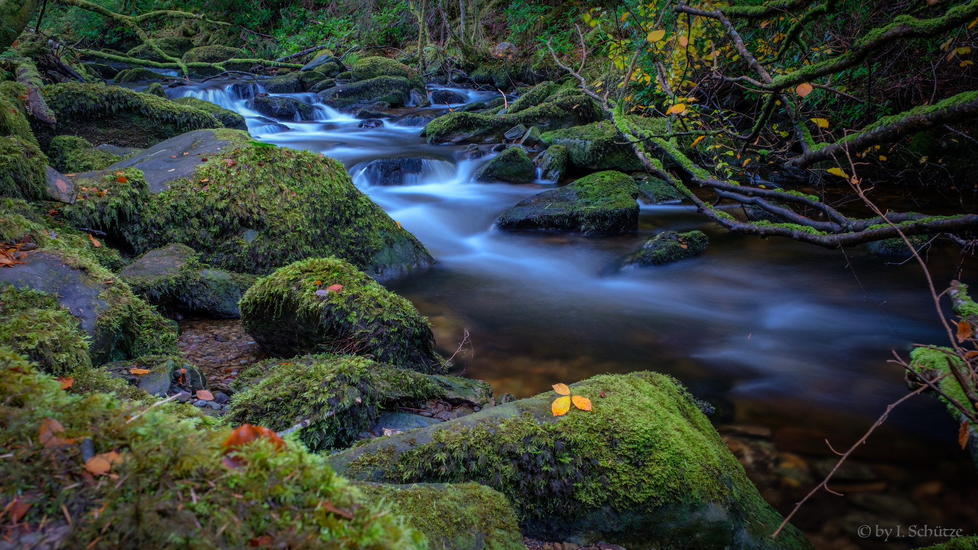 Bachlauf im Herbst