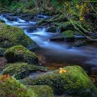 Bachlauf im Herbst